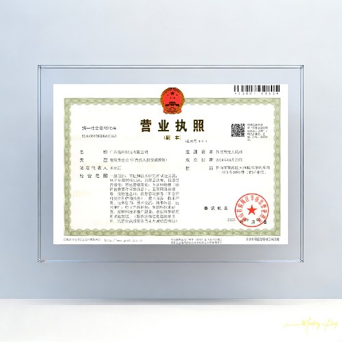 Business License