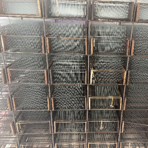 Factory actual shot photos