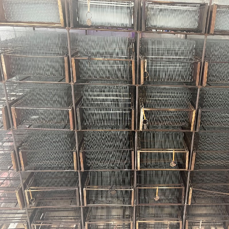 Factory actual shot photos